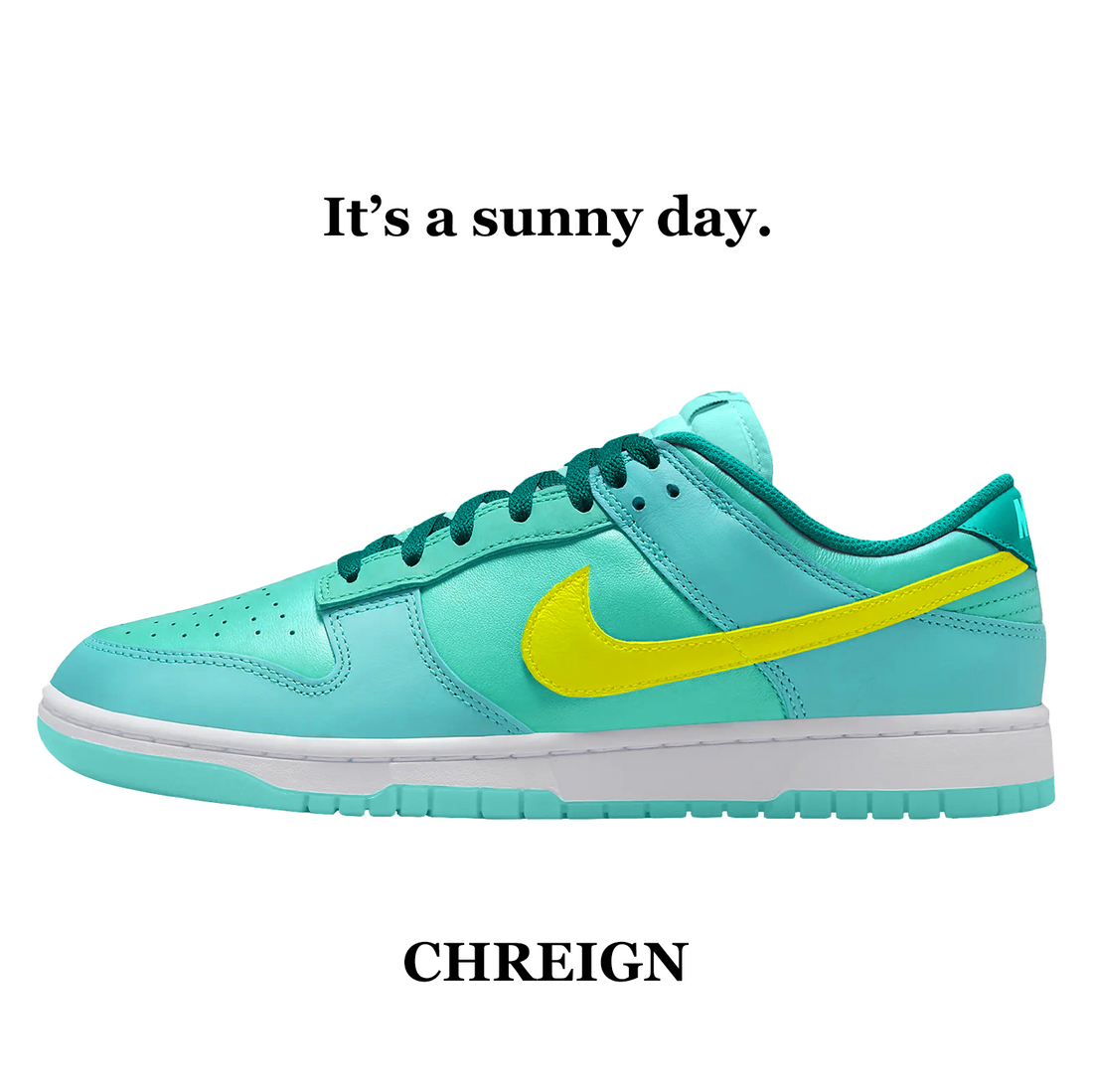 Chreign Custom Nike Dunk Low